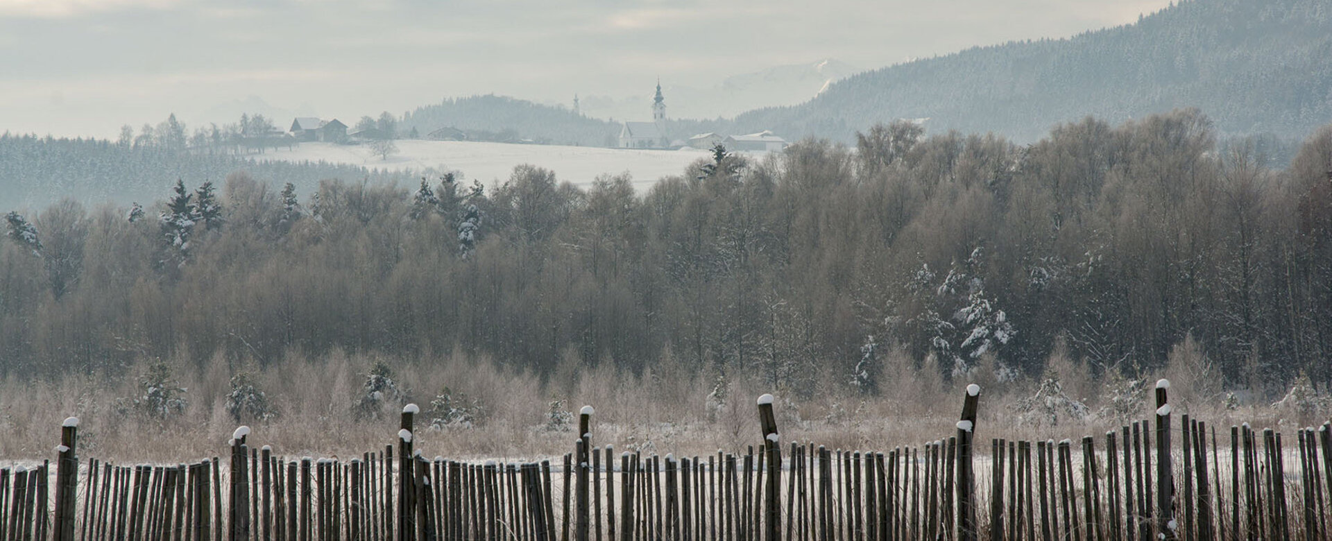 Impressionen
