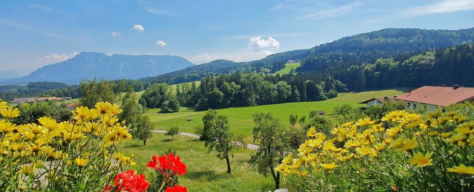 Impressionen